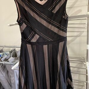 BCBG skater dress Black and Tan Women's Dress